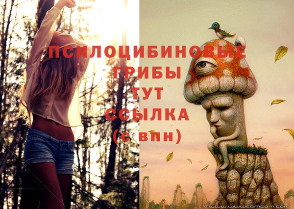 ECSTASY Алексеевка