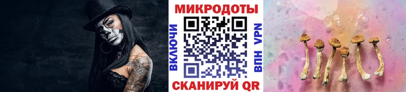 Галлюциногенные грибы мицелий  купить наркотик  OMG ссылка  Новая Ладога 